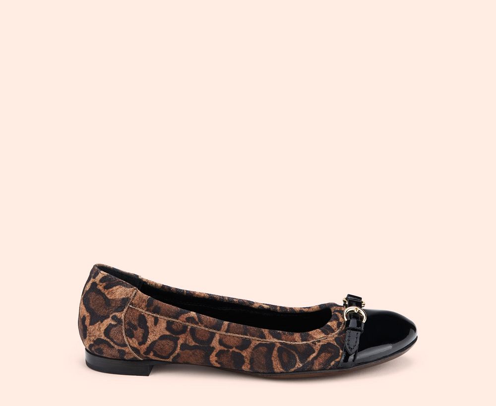 Ballerines AGL MONIKA Cuir Leopard Femme | LLV-94698511